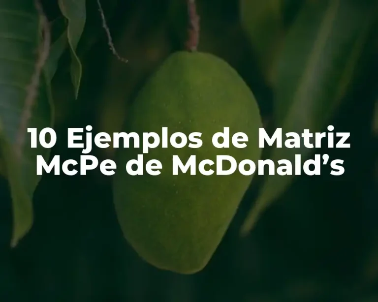 10 Ejemplos de Matriz McPe de McDonald’s
