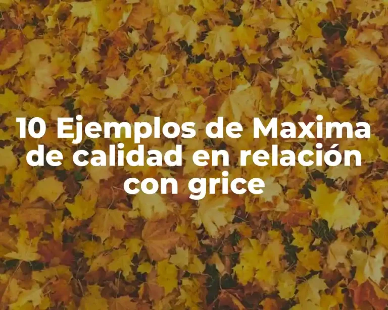 10 Ejemplos de Maxima de calidad en relación con grice