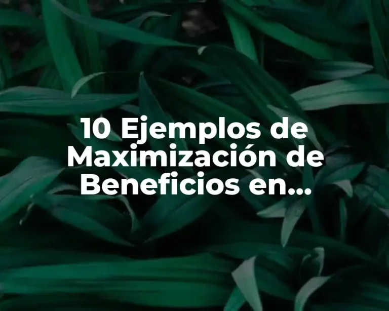 10 Ejemplos de Maximización de Beneficios en Competencia Perfecta