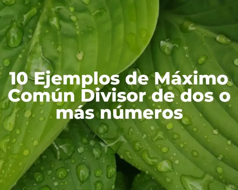 10 Ejemplos de Máximo Común Divisor de dos o más números