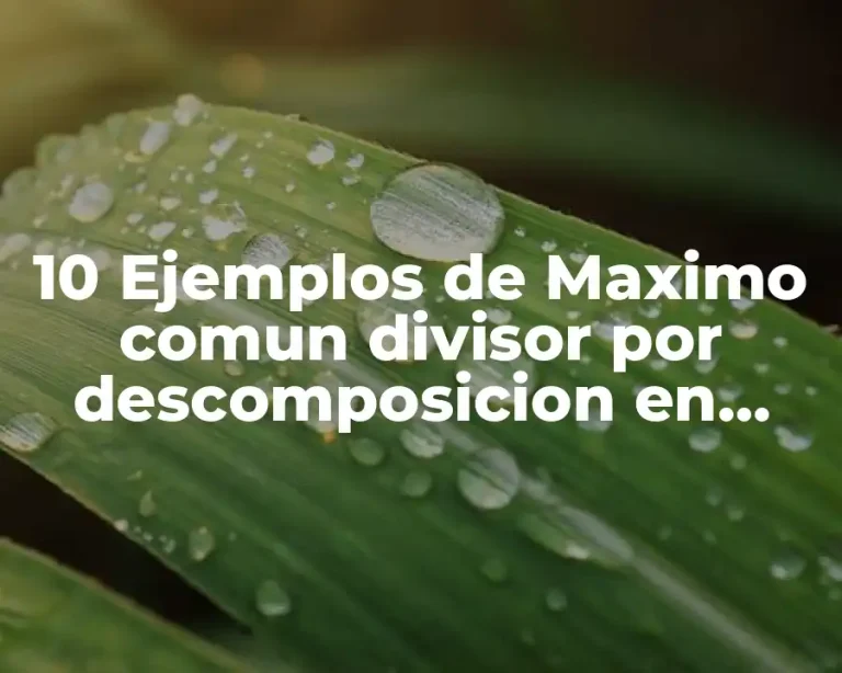 10 Ejemplos de Maximo comun divisor por descomposicion en factores primos