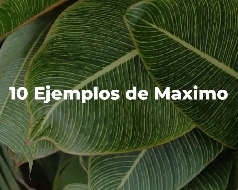 10 Ejemplos de Maximo