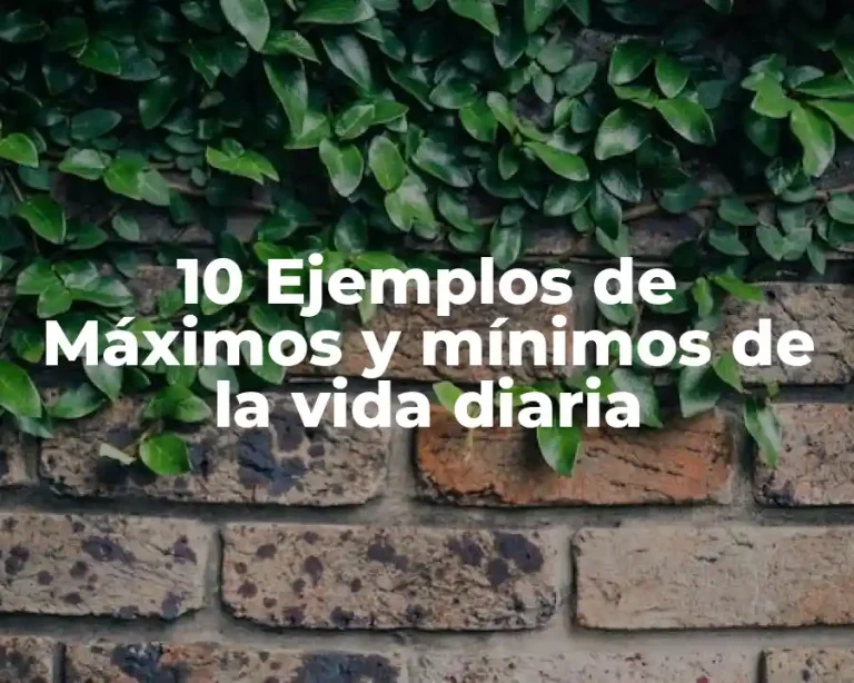 10 Ejemplos de Máximos y mínimos de la vida diaria