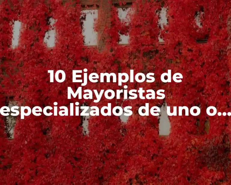 10 Ejemplos de Mayoristas especializados de uno o pocos productos