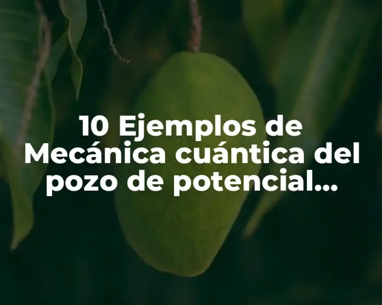 10 Ejemplos de Mecánica cuántica del pozo de potencial infinito