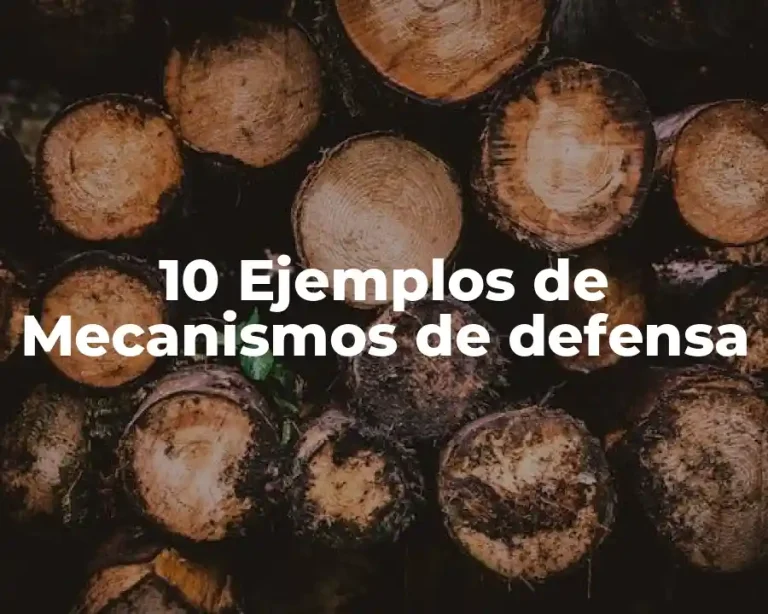 10 Ejemplos de Mecanismos de defensa