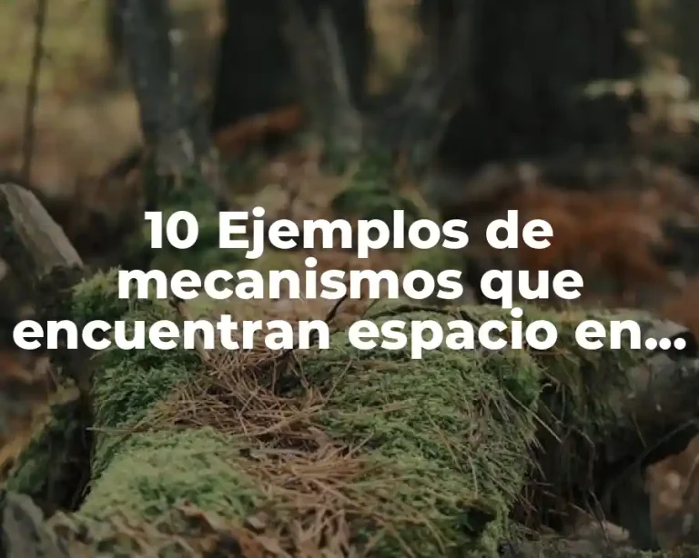 10 Ejemplos de mecanismos que encuentran espacio en la corteza