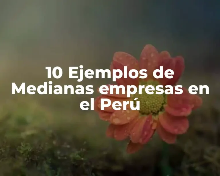 10 Ejemplos de Medianas empresas en el Perú