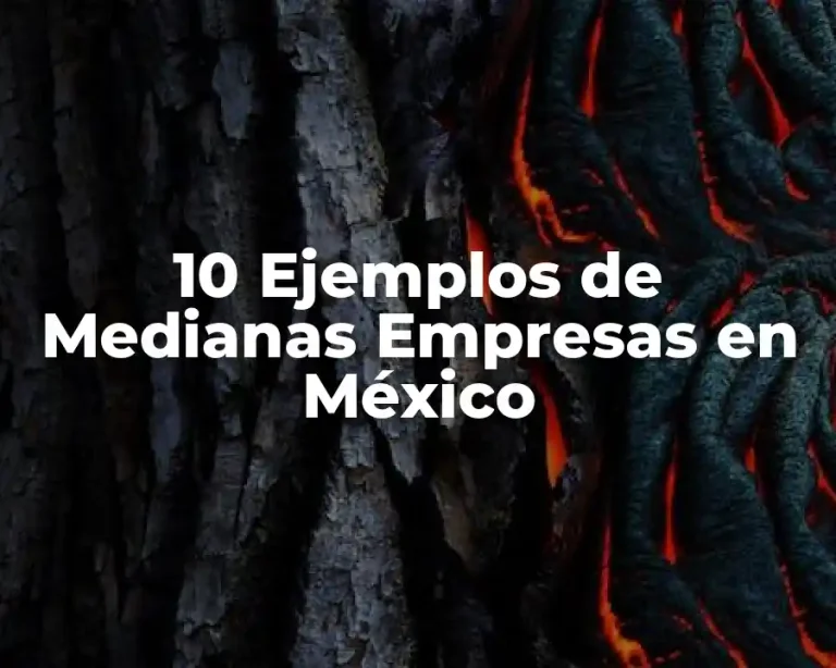 10 Ejemplos de Medianas Empresas en México