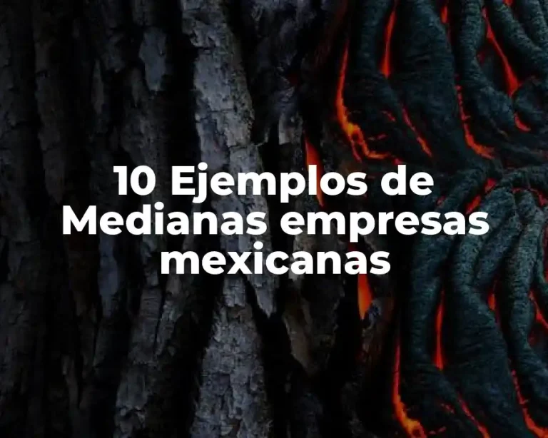 10 Ejemplos de Medianas empresas mexicanas