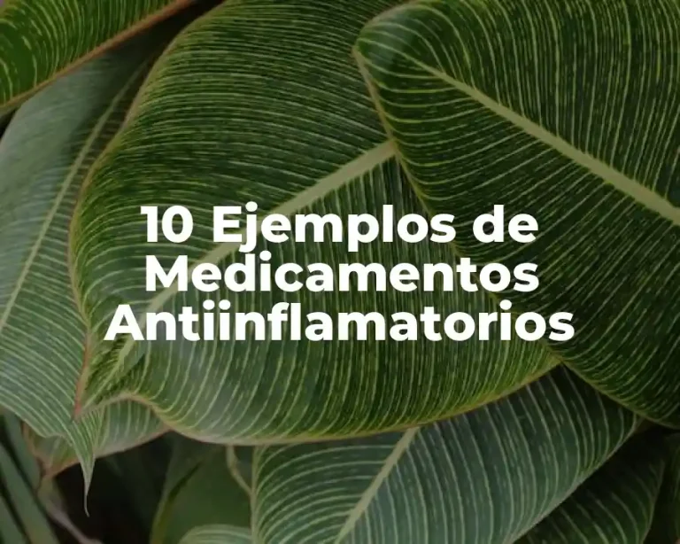 10 Ejemplos de Medicamentos Antiinflamatorios