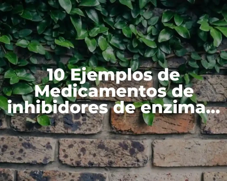 10 Ejemplos de Medicamentos de inhibidores de enzima convertidora de angiotensina
