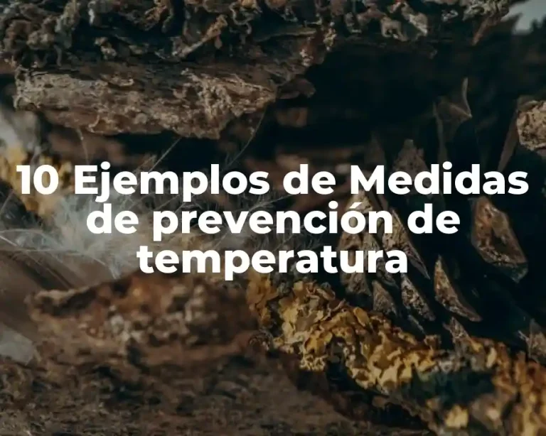 10 Ejemplos de Medidas de prevención de temperatura