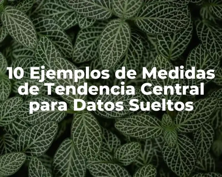 10 Ejemplos de Medidas de Tendencia Central para Datos Sueltos