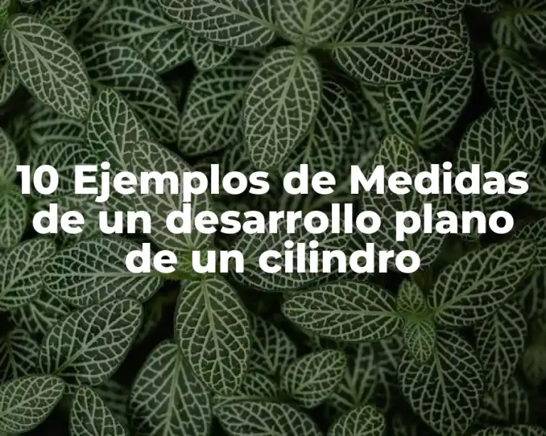 10 Ejemplos de Medidas de un desarrollo plano de un cilindro
