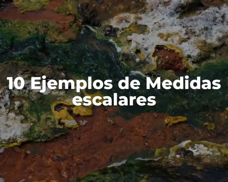 10 Ejemplos de Medidas escalares