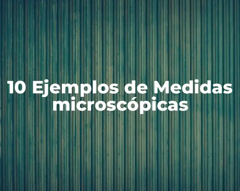 10 Ejemplos de Medidas microscópicas