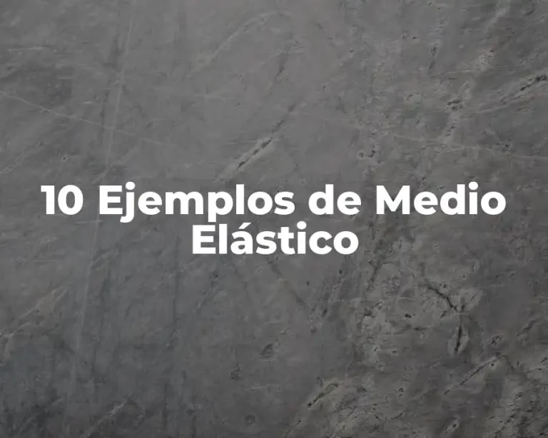 10 Ejemplos de Medio Elástico