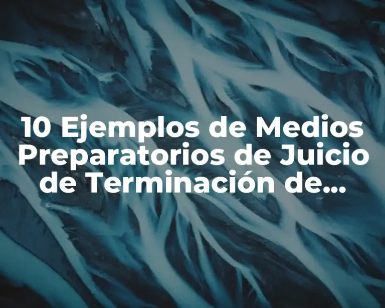10 Ejemplos de Medios Preparatorios de Juicio de Terminación de Contrato