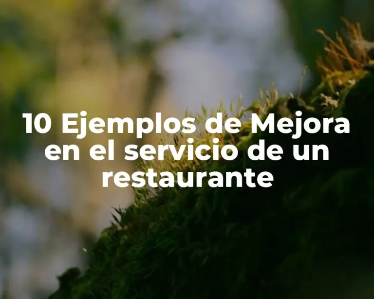 10 Ejemplos de Mejora en el servicio de un restaurante