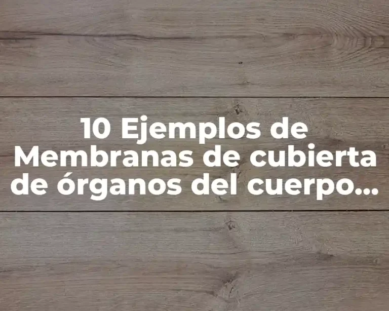 10 Ejemplos de Membranas de cubierta de órganos del cuerpo humano