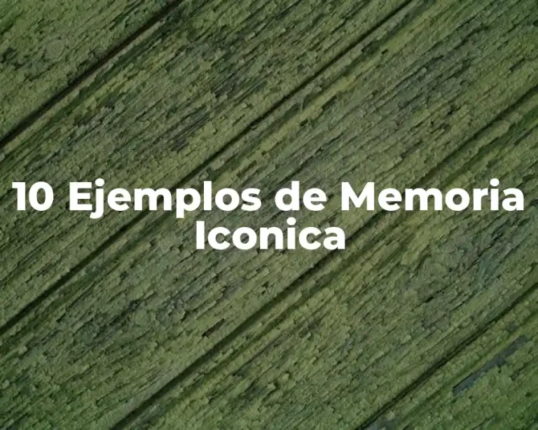 10 Ejemplos de Memoria Iconica