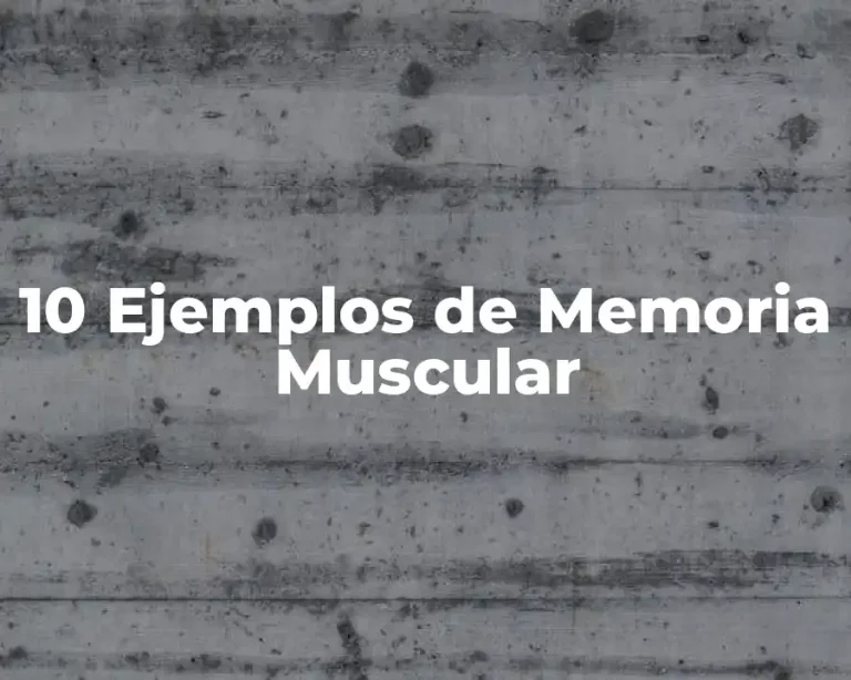 10 Ejemplos de Memoria Muscular