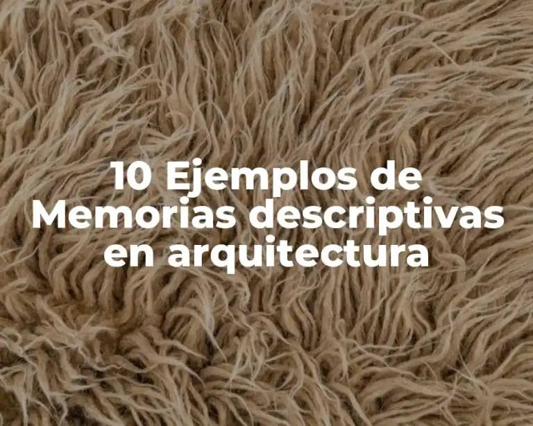 10 Ejemplos de Memorias descriptivas en arquitectura