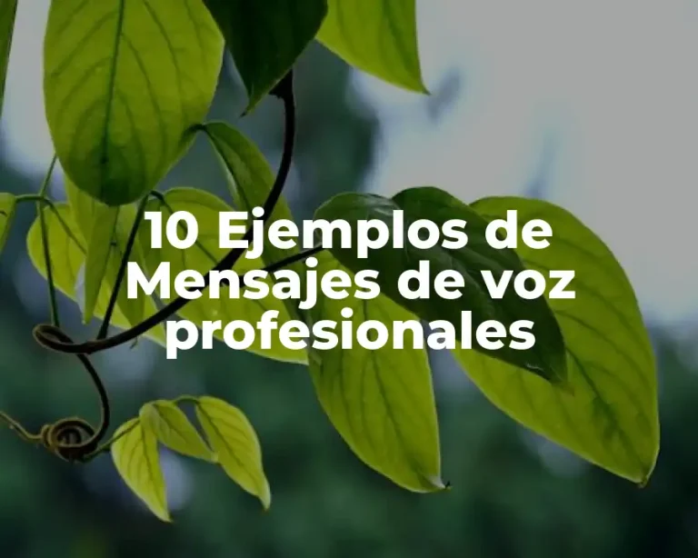10 Ejemplos de Mensajes de voz profesionales