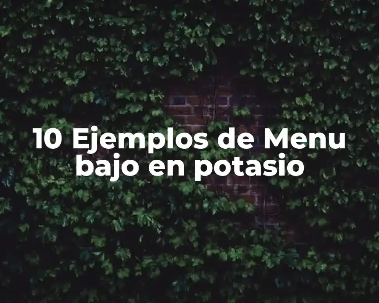 10 Ejemplos de Menu bajo en potasio