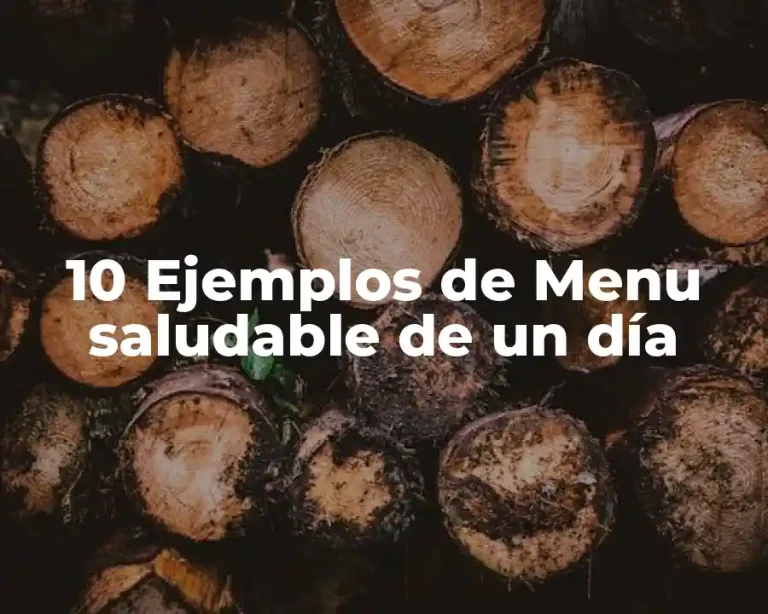 10 Ejemplos de Menu saludable de un día