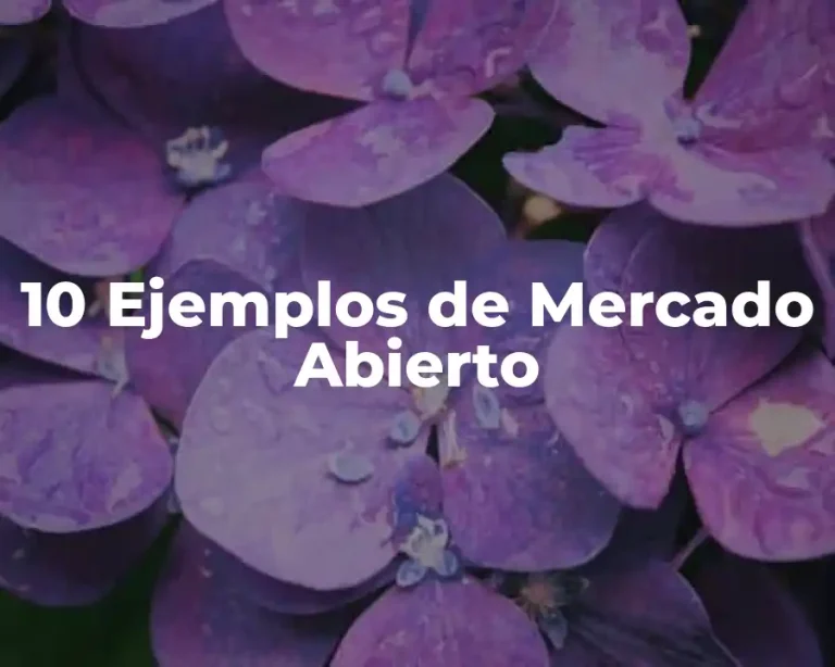10 Ejemplos de Mercado Abierto