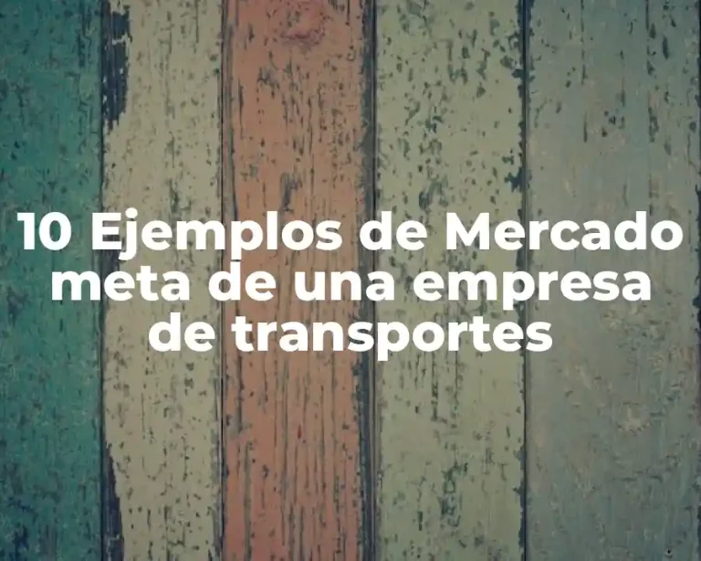 10 Ejemplos de Mercado meta de una empresa de transportes