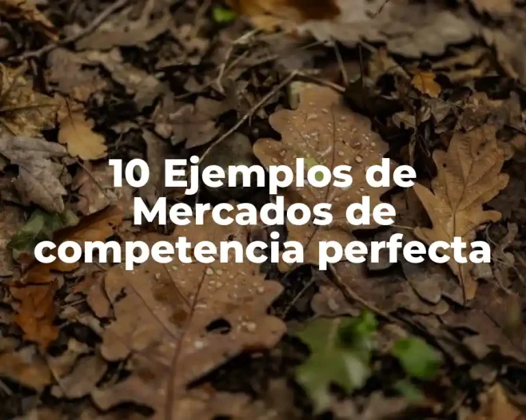 10 Ejemplos de Mercados de competencia perfecta