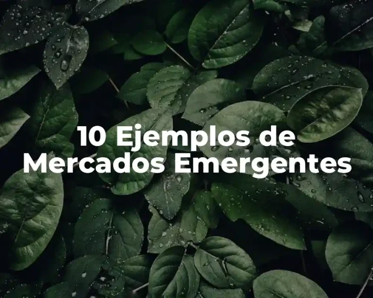 10 Ejemplos de Mercados Emergentes