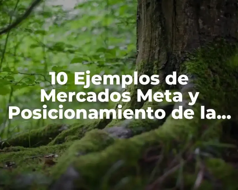 10 Ejemplos de Mercados Meta y Posicionamiento de la Empresa
