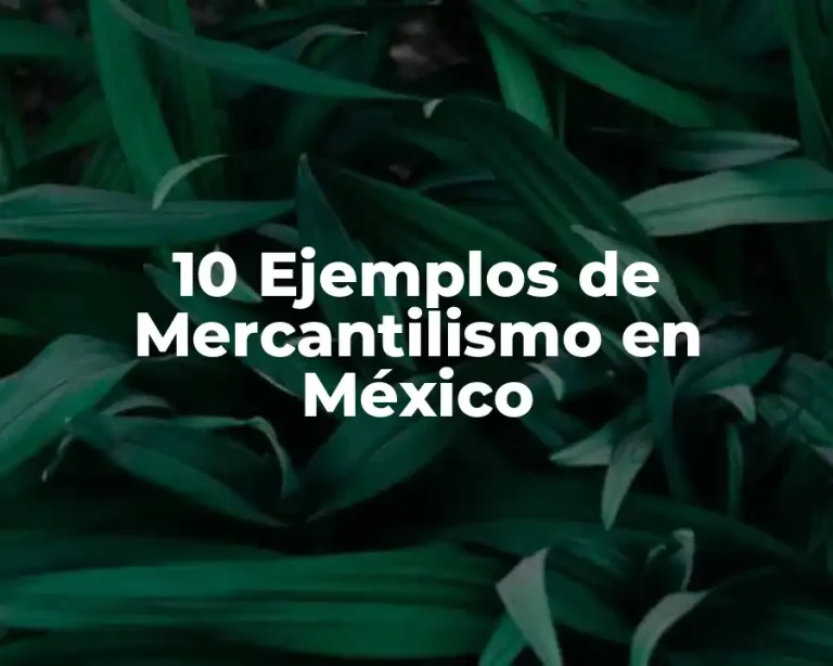 10 Ejemplos de Mercantilismo en México