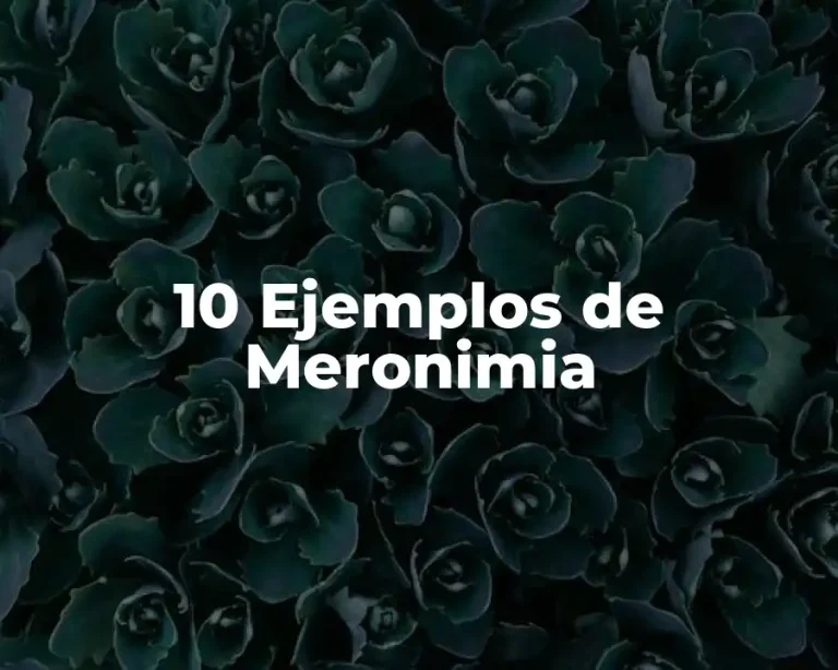 10 Ejemplos de Meronimia