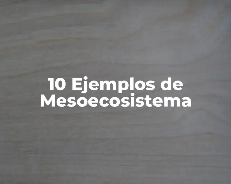 10 Ejemplos de Mesoecosistema
