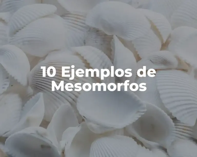 10 Ejemplos de Mesomorfos