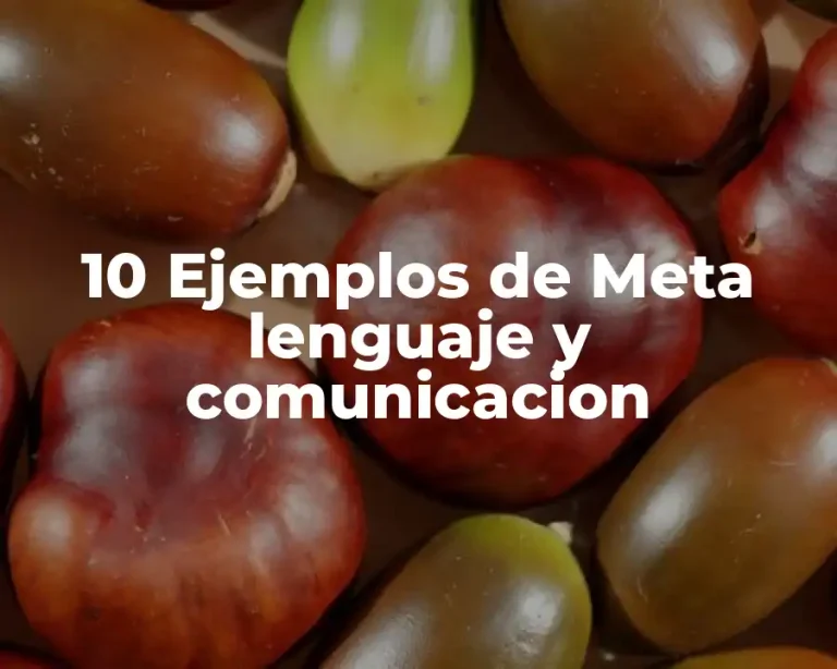 10 Ejemplos de Meta lenguaje y comunicacion