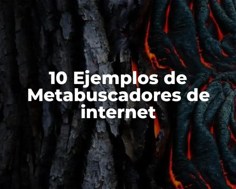 10 Ejemplos de Metabuscadores de internet