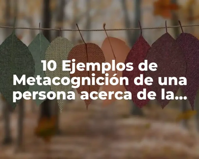 10 Ejemplos de Metacognición de una persona acerca de la prepa