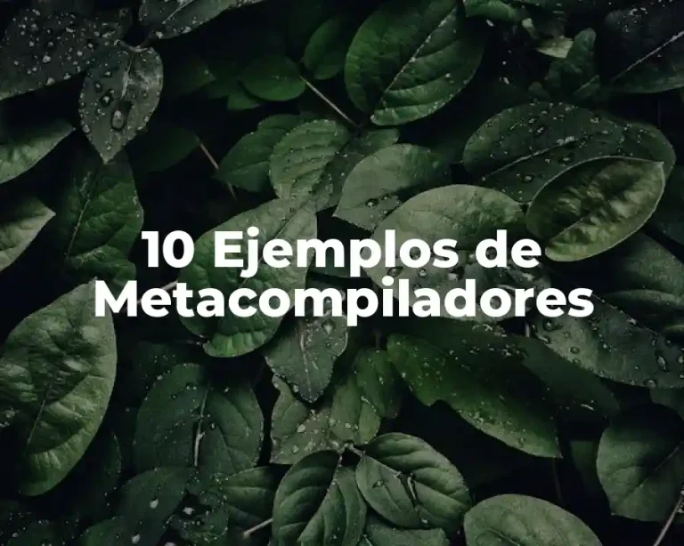10 Ejemplos de Metacompiladores