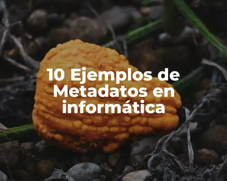 10 Ejemplos de Metadatos en informática