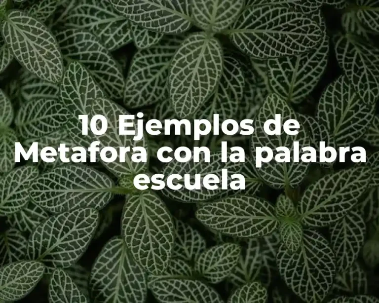 10 Ejemplos de Metafora con la palabra escuela