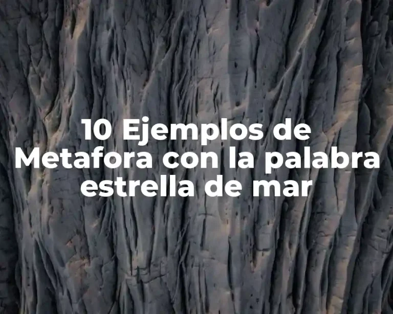 10 Ejemplos de Metafora con la palabra estrella de mar