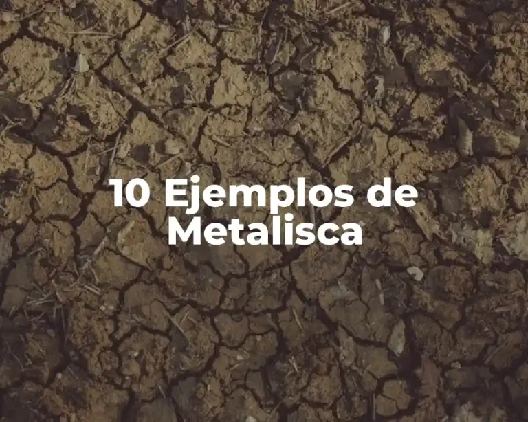 10 Ejemplos de Metalisca