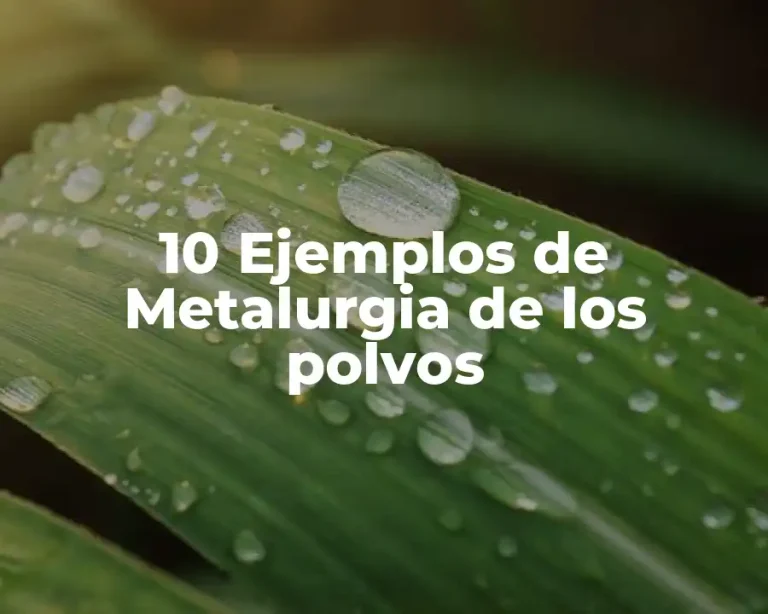 10 Ejemplos de Metalurgia de los polvos