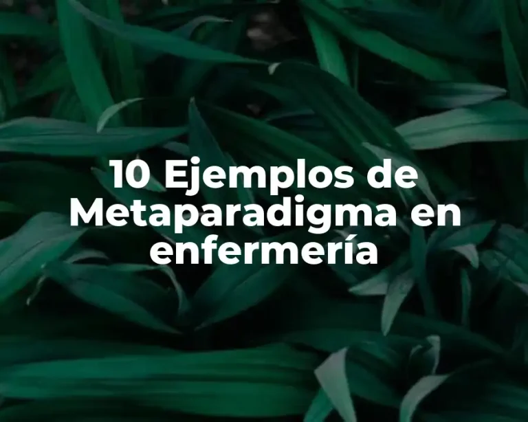 10 Ejemplos de Metaparadigma en enfermería